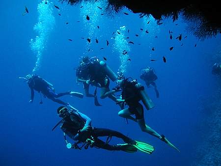 Marine Scientist Training - Gap Year Program