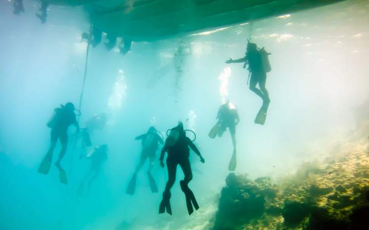 Expedition and Dive Instructor Training - Gap Year Program