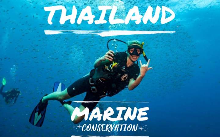 Meeresschutzprojekt & Tauchausbildung in Thailand - Gap Year Program