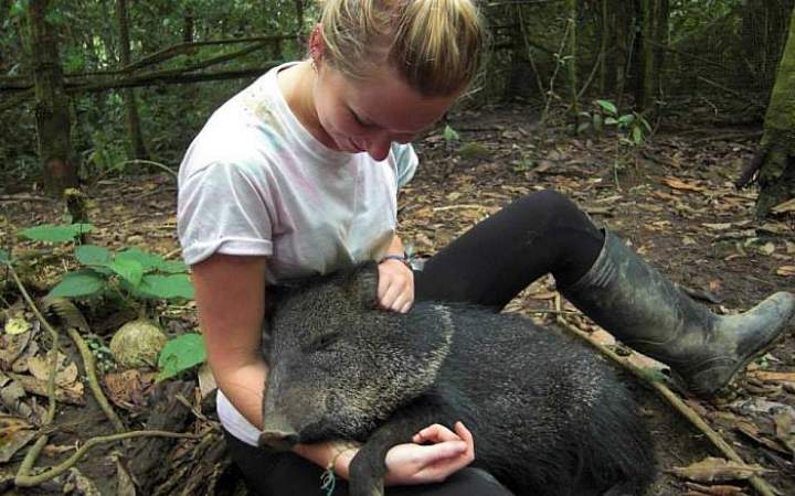 Wildlife Volunteering - Ecuador - Gap Year Program